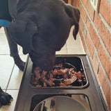 Amicura dog feeder stand