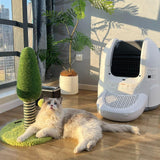 Amicura Self Cleaning Cat Litter Box Cura 2 - Amicura