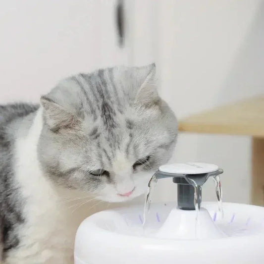 AmiCura Cat Water Fountain A2 - Amicura