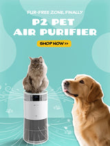 Amicura P2 360° Airflow Pet Air Purifier,Pet air purifier with HEPA filter, silent operation, suitable for pet households