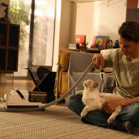 Amicura All-in-one Pet Vacuum Trimmer Shaver Set - Amicura