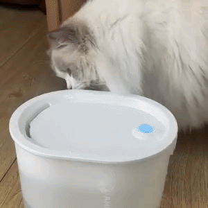 AmiCura A3 5-in-1 Wireless Cat Water Fountain - Amicura, A3 cat water fountain,cat fountain,katzentrinkbrunnen
,trinkbrunnen für katzen,springbrunnen für katzen,springbrunnen katzen