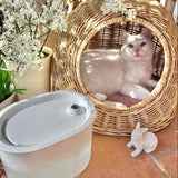 Amicura A3 Wireless Cat Water Fountain 2L- springbrunnen katzen,trinkbrunnen katze--Every household is a little different, but the overall experience is a smoother, fresher, and, quite frankly, happier routine—for you and your cat.