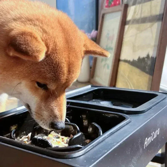 Amicura M1 2-in-1 Elevated Dog Bowl Stand - Amicura