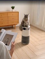 Amicura P2 Pet Air Purifier