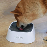 Stop the Splash! How to Tackle Fast Drinking and Messy Water Bowls - Amicura