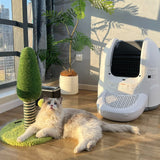 2025 Smart Litter Box Buying Guide: Which One Suits Your Needs Best?