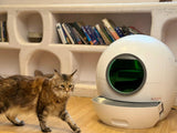 How to Choose the Best Smart Litter Box for Your Cat - Amicura