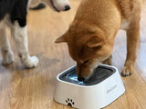 Stop the Splash! How to Tackle Fast Drinking and Messy Water Bowls - Amicura