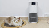 Amicura P2 Pet Air Purifier