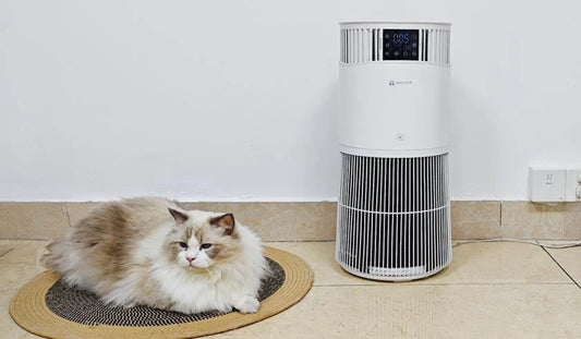 Amicura P2 Pet Air Purifier