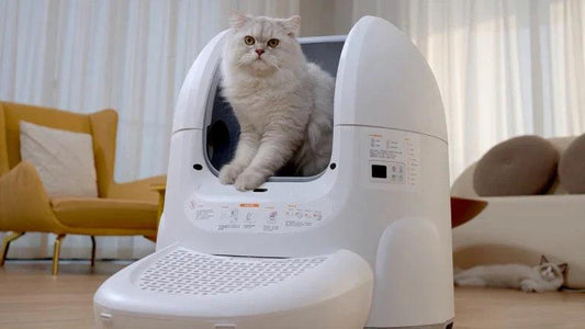 Nie wieder Schaufeln! | Smarte Katzentoilette Amicura Cura2 im Angebot - Amicura