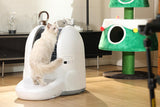 Is an automatic cat litter box really necessary? - Amicura