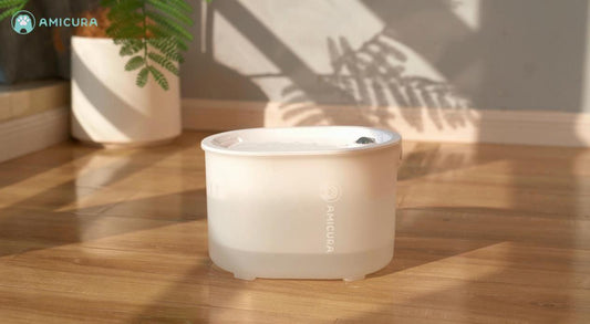 Amicura A3 kabelloser Wasserspender: Ein neuer Standard für sicheres Trinkwasser - Amicura