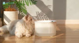 Amicura A3: Intelligent drinking fountain for cats with 6-way filter