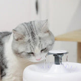 Pet Water Fountains & Feeders - Amicura