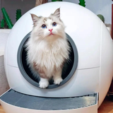 Automatic cat self cleaning litter box - Amicura