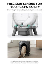 PRECISION SENSING FOR YOUR CAT'S SAFETY