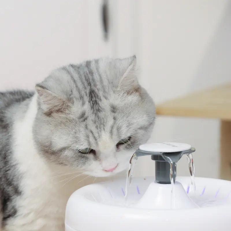 AmiCura Cat Water Fountain A2 - Amicura
