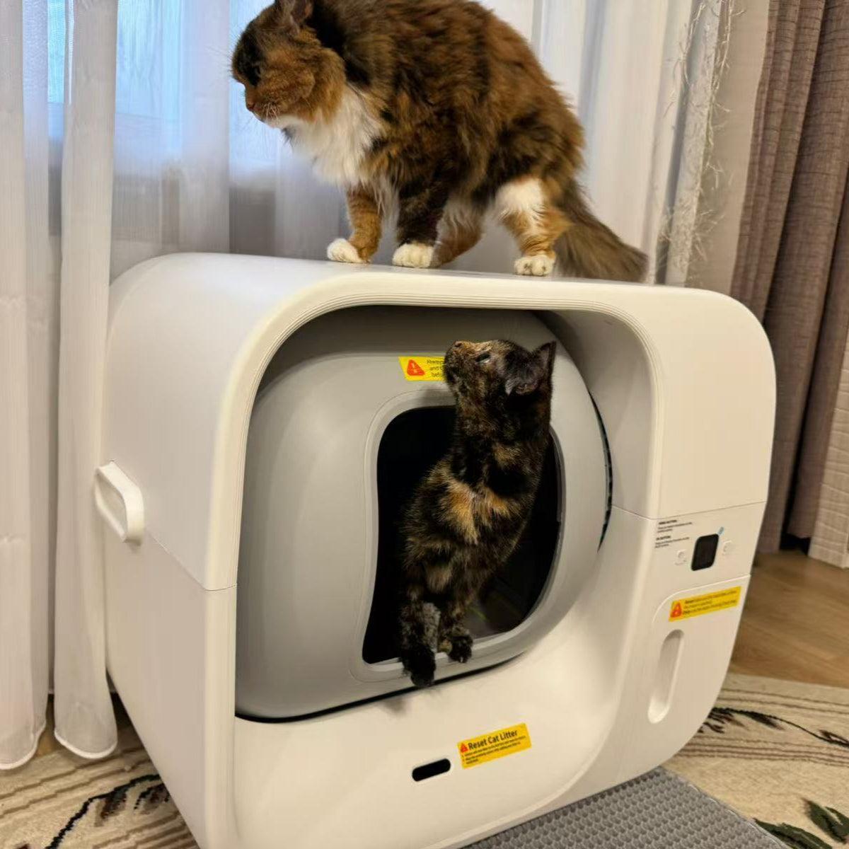 Cura 3 Auto-Pack Cat Litter Box & F1 Pro Feeder - Amicura
