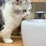 AmiCura Cat Water Fountain A2 - Amicura